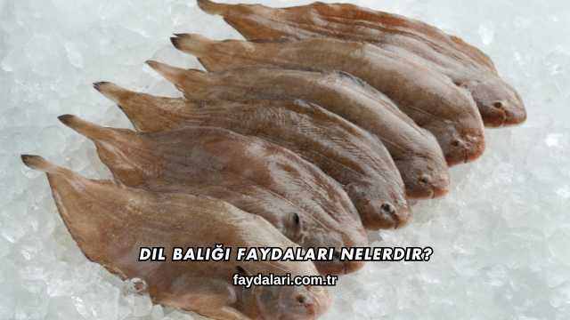 Dil Balığı Faydaları Nelerdir?