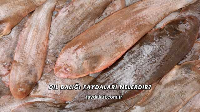 Dil Balığı Faydaları Nelerdir?