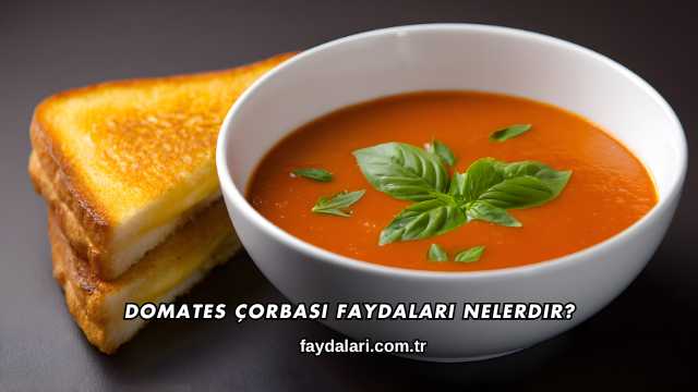 Domates Çorbası Faydaları Nelerdir?