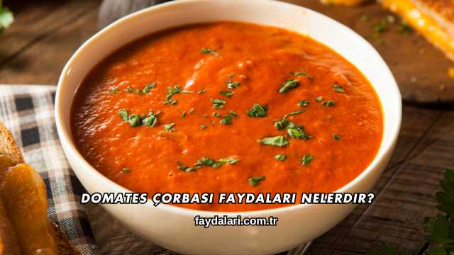 Domates Çorbası Faydaları Nelerdir?