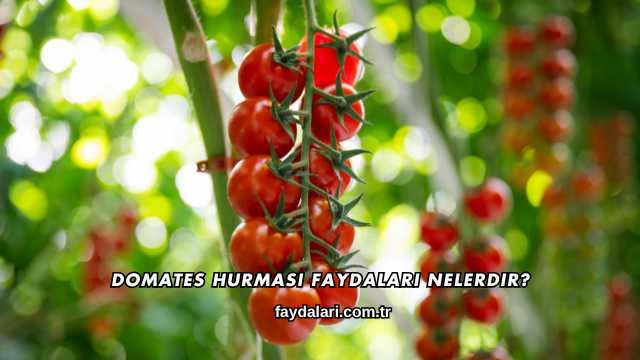 Domates Hurması Faydaları Nelerdir?