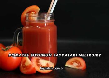 Domates Suyunun Faydaları Nelerdir?