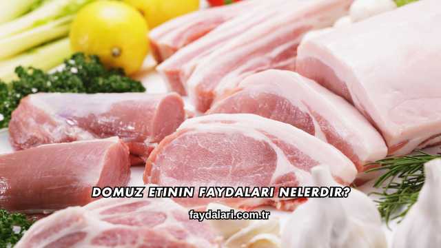 Domuz Etinin Faydaları Nelerdir?