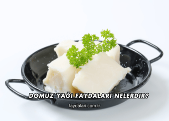 Domuz Yağı Faydaları Nelerdir?