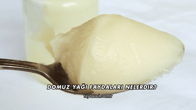 Domuz Yağı Faydaları Nelerdir?