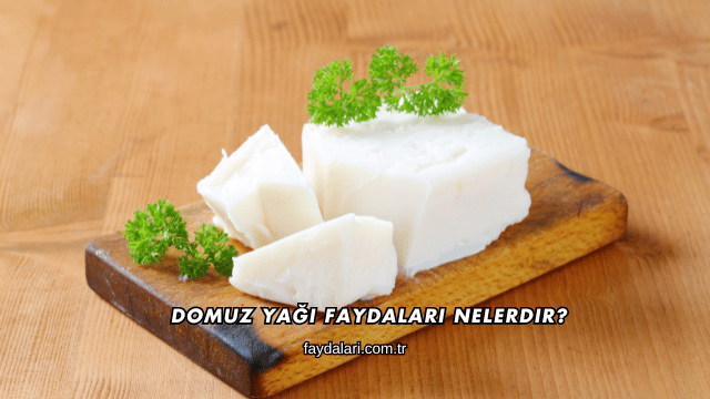 Domuz Yağı Faydaları Nelerdir?