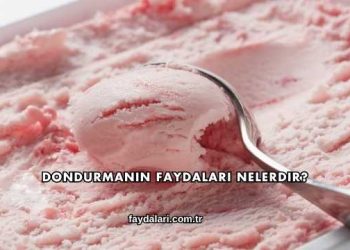 Dondurmanın Faydaları Nelerdir?