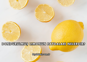 Dondurulmuş Limonun Faydaları Nelerdir?