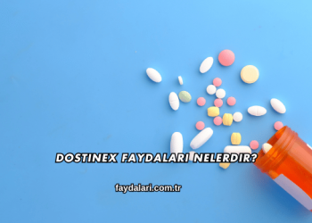 Dostinex Faydaları Nelerdir?