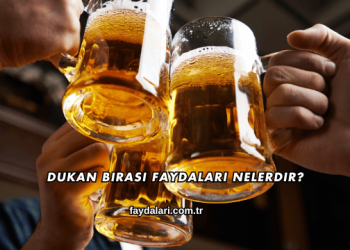 Dukan Birası Faydaları Nelerdir?