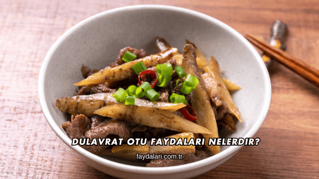 Dulavrat Otu Faydaları Nelerdir?
