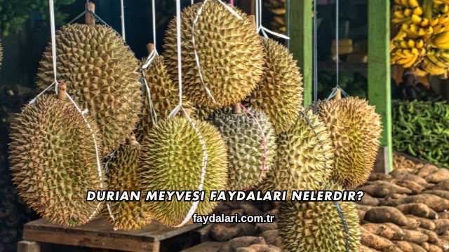 Durian Meyvesi Faydaları Nelerdir?