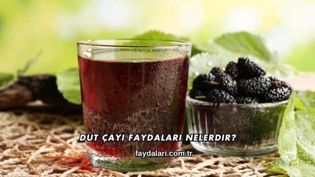 Dut Çayı Faydaları Nelerdir?