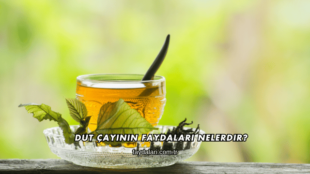 Dut Çayının Faydaları Nelerdir?