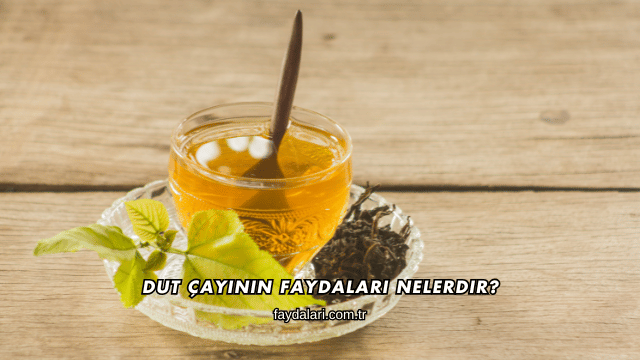 Dut Çayının Faydaları Nelerdir?