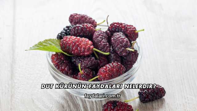Dut Kürünün Faydaları Nelerdir?