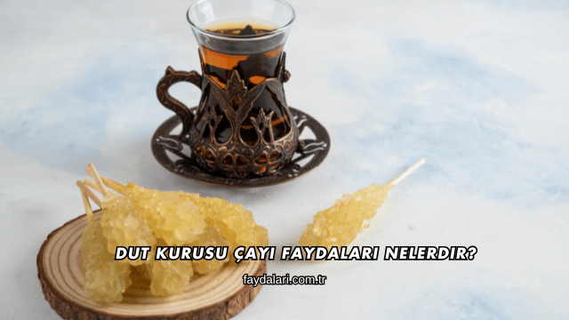 Dut Kurusu Çayı Faydaları Nelerdir?