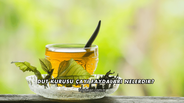 Dut Kurusu Çayı Faydaları Nelerdir?