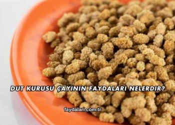 Dut Kurusu Çayının Faydaları Nelerdir?