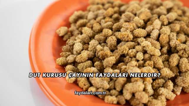 Dut Kurusu Çayının Faydaları Nelerdir?
