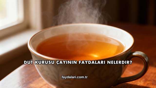 Dut Kurusu Çayının Faydaları Nelerdir?
