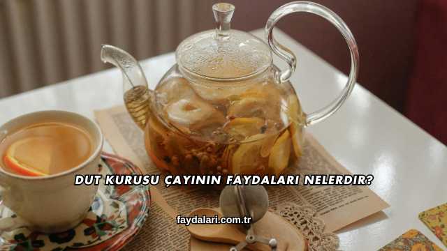 Dut Kurusu Çayının Faydaları Nelerdir?