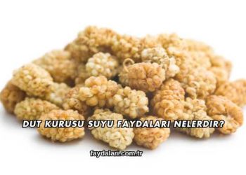 Dut Kurusu Suyu Faydaları Nelerdir?