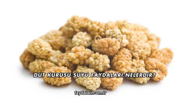 Dut Kurusu Suyu Faydaları Nelerdir?