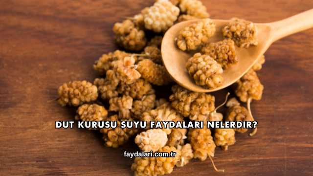 Dut Kurusu Suyu Faydaları Nelerdir?