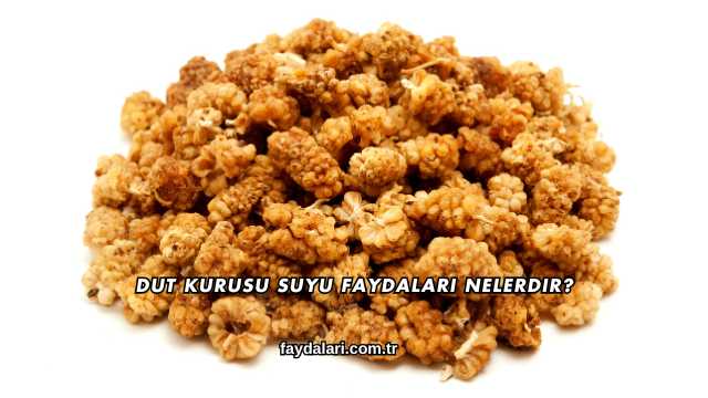 Dut Kurusu Suyu Faydaları Nelerdir?