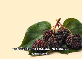 Dut Sirkesi Faydaları Nelerdir?