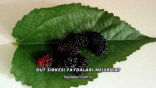 Dut Sirkesi Faydaları Nelerdir?