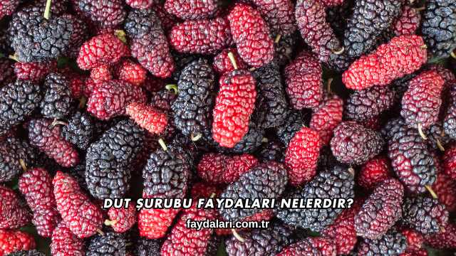 Dut Şurubu Faydaları Nelerdir?
