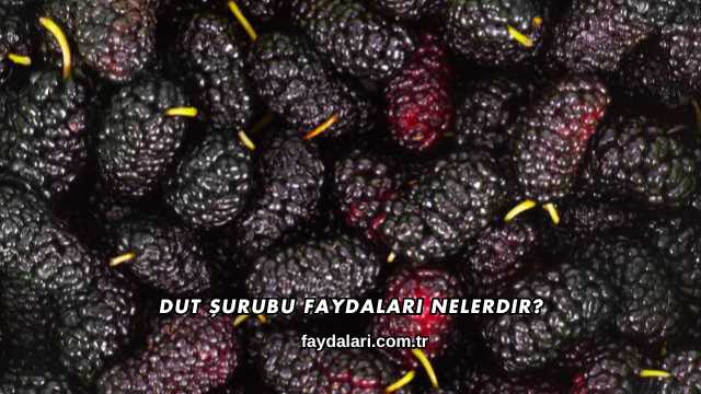 Dut Şurubu Faydaları Nelerdir?