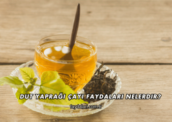 Dut Yaprağı Çayı Faydaları Nelerdir?