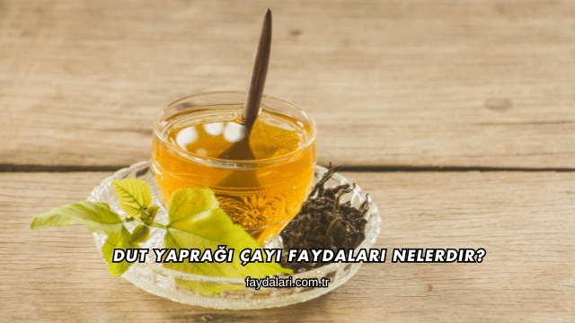 Dut Yaprağı Çayı Faydaları Nelerdir?