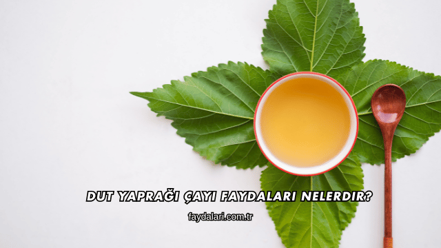 Dut Yaprağı Çayı Faydaları Nelerdir?