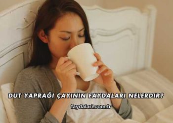 Dut Yaprağı Çayının Faydaları Nelerdir?