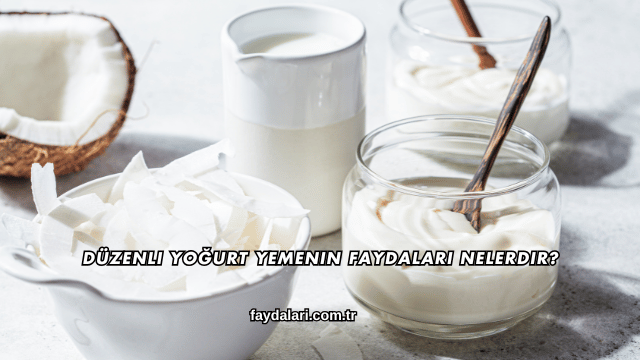 Düzenli Yoğurt Yemenin Faydaları Nelerdir?
