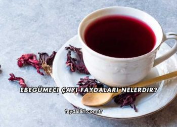Ebegümeci Çayı Faydaları Nelerdir?