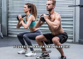 Egzersizin Faydaları Nelerdir?