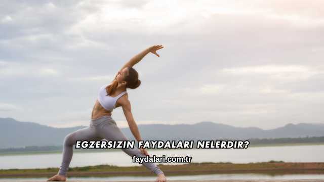 Egzersizin Faydaları Nelerdir?