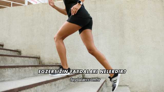 Egzersizin Faydaları Nelerdir?