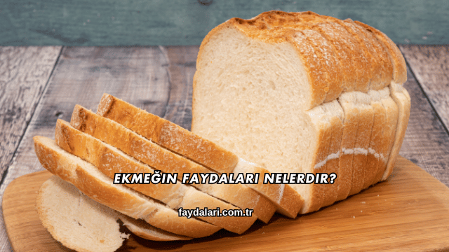 Ekmeğin Faydaları Nelerdir?