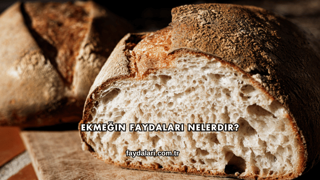 Ekmeğin Faydaları Nelerdir?