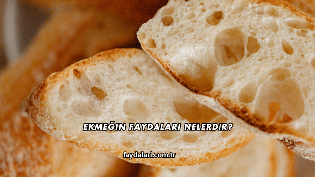 Ekmeğin Faydaları Nelerdir?