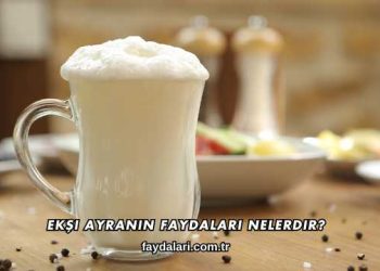 Ekşi Ayranın Faydaları Nelerdir?