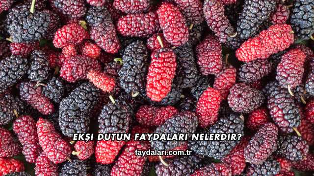 Ekşi Dutun Faydaları Nelerdir?