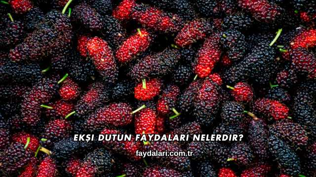 Ekşi Dutun Faydaları Nelerdir?