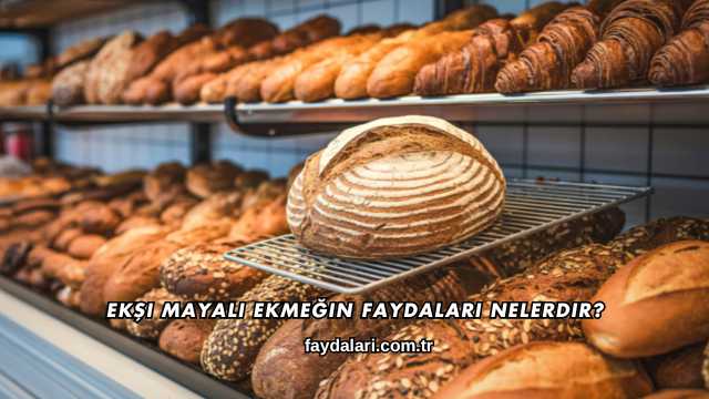 Ekşi Mayalı Ekmeğin Faydaları Nelerdir?